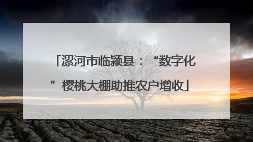 漯河市临颍县：“数字化”樱桃大棚助推农户增收