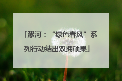 漯河：“绿色春风”系列行动结出双拥硕果