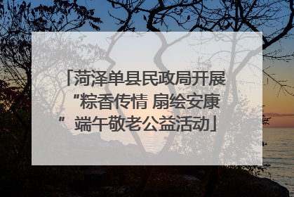 菏泽单县民政局开展“粽香传情 扇绘安康”端午敬老公益活动