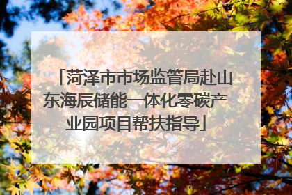 菏泽市市场监管局赴山东海辰储能一体化零碳产业园项目帮扶指导