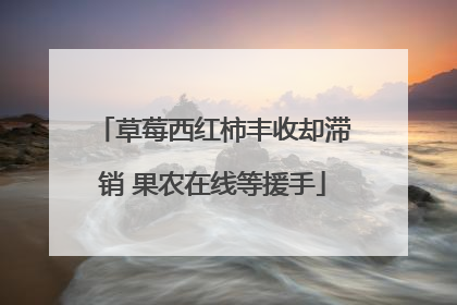 草莓西红柿丰收却滞销 果农在线等援手