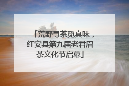 荒野寻茶觅真味，红安县第九届老君眉茶文化节启幕