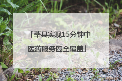 莘县实现15分钟中医药服务圈全覆盖