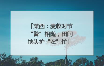 莱西：麦收时节“警”相随，田间地头护“农”忙