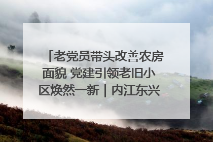 老党员带头改善农房面貌 党建引领老旧小区焕然一新｜内江东兴“红”在哪？④