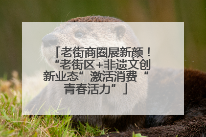 老街商圈展新颜！“老街区+非遗文创新业态”激活消费“青春活力”