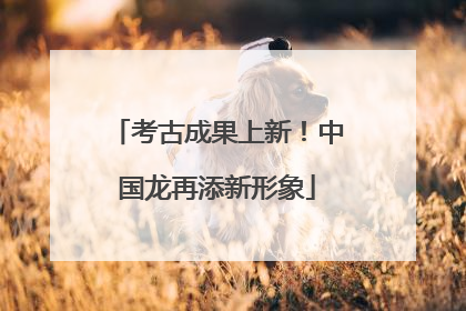 考古成果上新！中国龙再添新形象