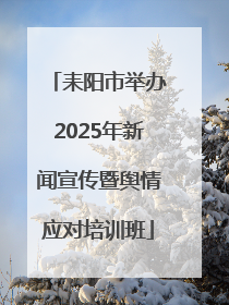耒阳市举办2025年新闻宣传暨舆情应对培训班