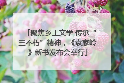 聚焦乡土文学 传承“三不朽”精神，《袁家岭》新书发布会举行