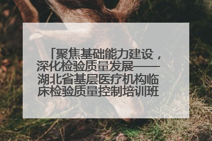 聚焦基础能力建设，深化检验质量发展——湖北省基层医疗机构临床检验质量控制培训班（孝感站）成功举办