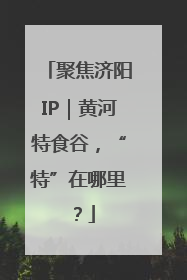 聚焦济阳IP｜黄河特食谷，“特”在哪里？
