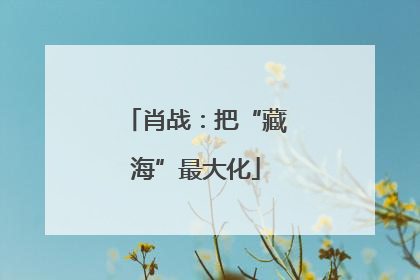 肖战：把“藏海”最大化