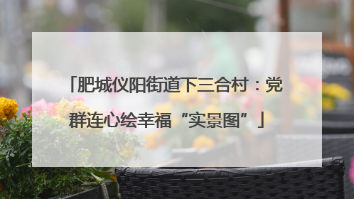 肥城仪阳街道下三合村：党群连心绘幸福“实景图”