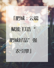 肥城：云端赋能 打造“肥城好品”强农引擎