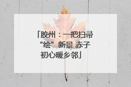 胶州：一把扫帚“绘”新景 赤子初心暖乡邻