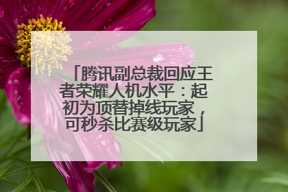 腾讯副总裁回应王者荣耀人机水平：起初为顶替掉线玩家，可秒杀比赛级玩家