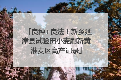 良种+良法！新乡延津县试验田小麦刷新黄淮麦区高产记录
