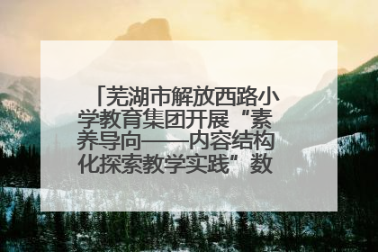 芜湖市解放西路小学教育集团开展“素养导向——内容结构化探索教学实践”数学专题研讨活动