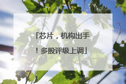 芯片，机构出手！多股评级上调
