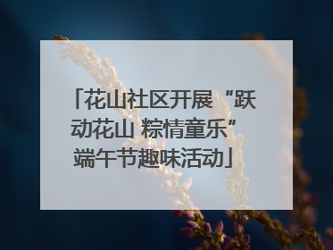 花山社区开展“跃动花山 粽情童乐”端午节趣味活动