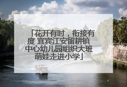花开有时，衔接有度 宜宾江安留耕镇中心幼儿园组织大班萌娃走进小学