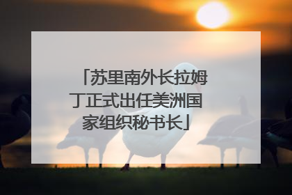 苏里南外长拉姆丁正式出任美洲国家组织秘书长