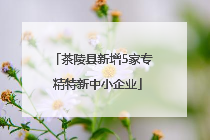 茶陵县新增5家专精特新中小企业