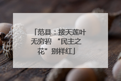 范县：接天莲叶无穷碧 “民主之花”别样红