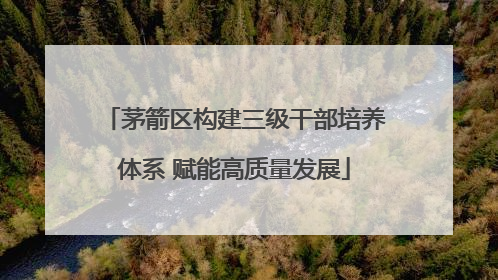 茅箭区构建三级干部培养体系 赋能高质量发展