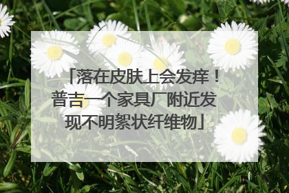 落在皮肤上会发痒！普吉一个家具厂附近发现不明絮状纤维物