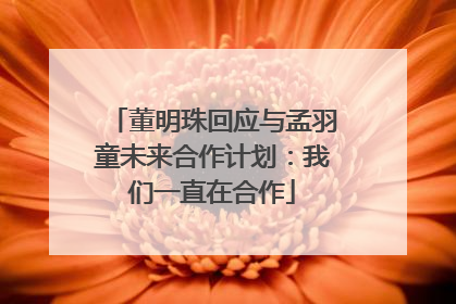 董明珠回应与孟羽童未来合作计划：我们一直在合作