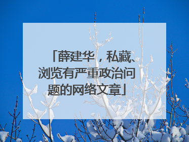 薛建华，私藏、浏览有严重政治问题的网络文章