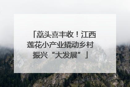 藠头喜丰收！江西莲花小产业撬动乡村振兴“大发展”