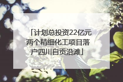 计划总投资22亿元 两个精细化工项目落户四川自贡沿滩