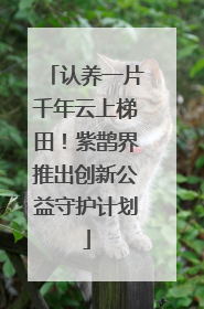 认养一片千年云上梯田！紫鹊界推出创新公益守护计划