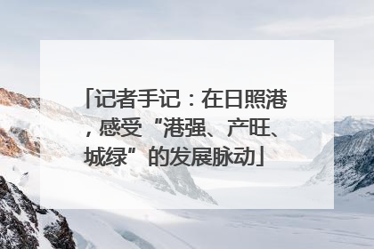 记者手记：在日照港，感受“港强、产旺、城绿”的发展脉动