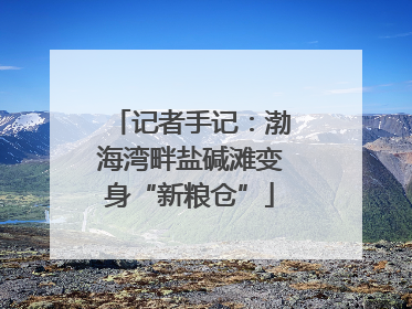 记者手记：渤海湾畔盐碱滩变身“新粮仓”