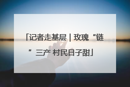 记者走基层｜玫瑰“链”三产 村民日子甜
