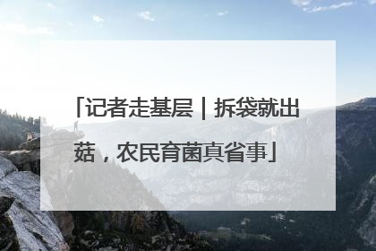 记者走基层｜拆袋就出菇，农民育菌真省事