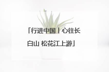行进中国丨心往长白山 松花江上游