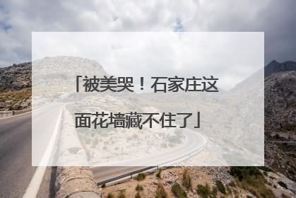 被美哭！石家庄这面花墙藏不住了