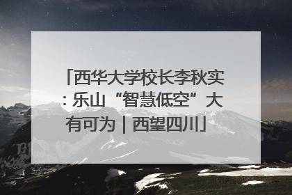 西华大学校长李秋实：乐山“智慧低空”大有可为｜西望四川