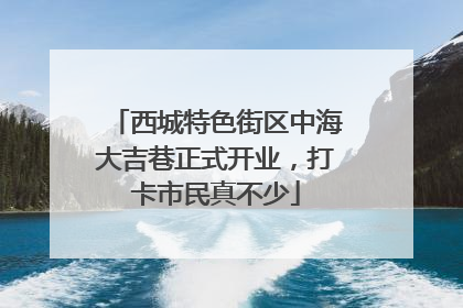 西城特色街区中海大吉巷正式开业，打卡市民真不少