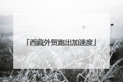 西藏外贸跑出加速度