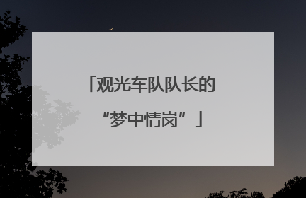 观光车队队长的“梦中情岗”