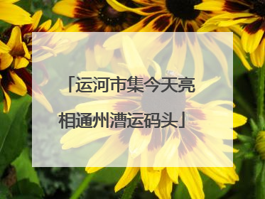 运河市集今天亮相通州漕运码头