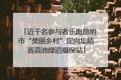近千名参与者乐跑昆明市“美丽乡村”定向集结赛滇池绿道福保站