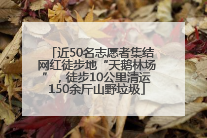 近50名志愿者集结网红徒步地“天鹅林场”，徒步10公里清运150余斤山野垃圾