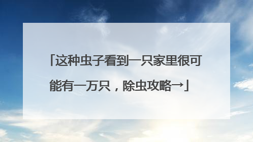 这种虫子看到一只家里很可能有一万只，除虫攻略→