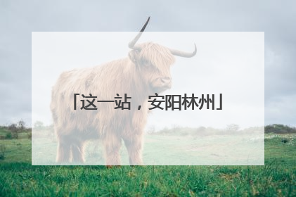 这一站，安阳林州
